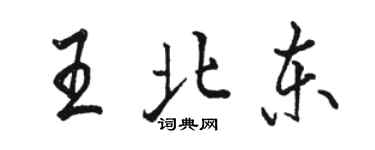 駱恆光王北東行書個性簽名怎么寫