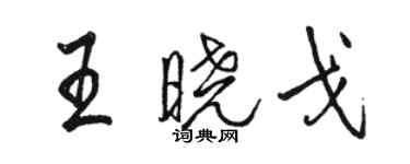 駱恆光王曉戈行書個性簽名怎么寫