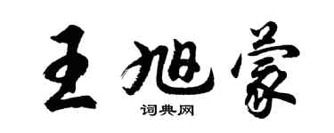 胡問遂王旭蒙行書個性簽名怎么寫