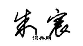 朱錫榮朱宸草書個性簽名怎么寫