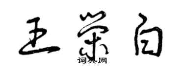 曾慶福王榮白草書個性簽名怎么寫