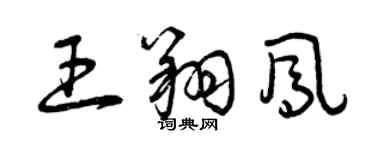 曾慶福王翔鳳草書個性簽名怎么寫