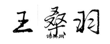 曾慶福王桑羽行書個性簽名怎么寫