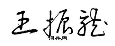 曾慶福王振龍草書個性簽名怎么寫
