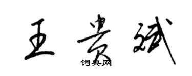 梁錦英王貴斌草書個性簽名怎么寫