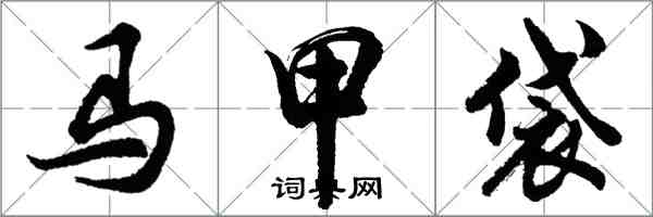 胡問遂馬甲袋行書怎么寫