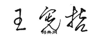 駱恆光王憲哲草書個性簽名怎么寫