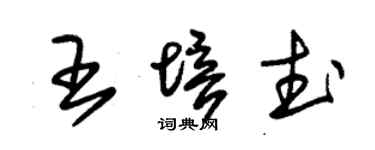 朱錫榮王培武草書個性簽名怎么寫