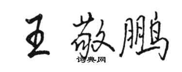 駱恆光王敬鵬行書個性簽名怎么寫