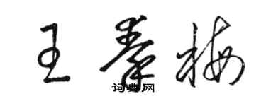 駱恆光王秦梅草書個性簽名怎么寫