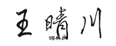 駱恆光王晴川行書個性簽名怎么寫