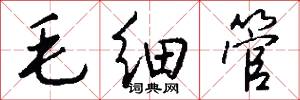 毛細管怎么寫好看