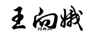 胡問遂王向娥行書個性簽名怎么寫