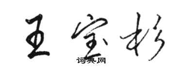 駱恆光王寶杉行書個性簽名怎么寫