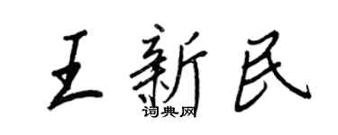 王正良王新民行書個性簽名怎么寫