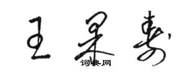 駱恆光王果壽草書個性簽名怎么寫