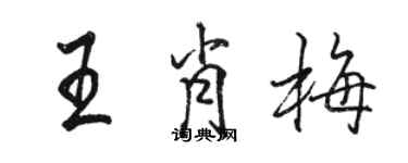 駱恆光王肖梅行書個性簽名怎么寫