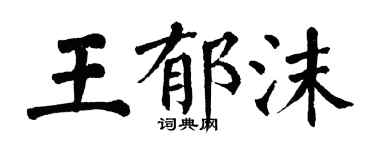 翁闓運王郁沫楷書個性簽名怎么寫