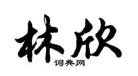 胡問遂林欣行書個性簽名怎么寫