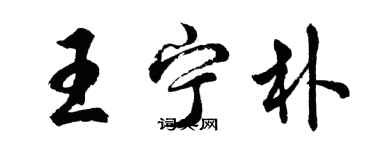 胡問遂王寧朴行書個性簽名怎么寫