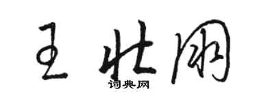 駱恆光王壯朋草書個性簽名怎么寫