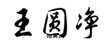 胡問遂王圓淨行書個性簽名怎么寫