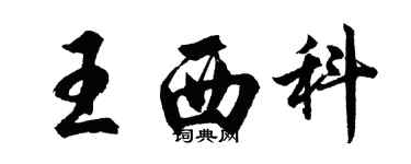 胡問遂王西科行書個性簽名怎么寫