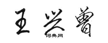 駱恆光王興曾行書個性簽名怎么寫