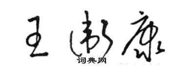 駱恆光王衛康草書個性簽名怎么寫