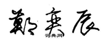 朱錫榮鄭奕辰草書個性簽名怎么寫