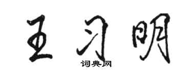 駱恆光王習明行書個性簽名怎么寫