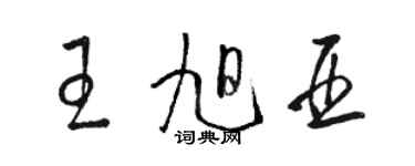 駱恆光王旭亞草書個性簽名怎么寫