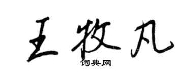 王正良王牧凡行書個性簽名怎么寫