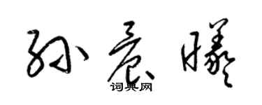 梁錦英孫晨曦草書個性簽名怎么寫