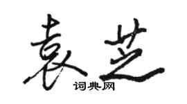 駱恆光袁芝行書個性簽名怎么寫