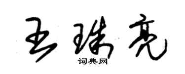 朱錫榮王珠亮草書個性簽名怎么寫