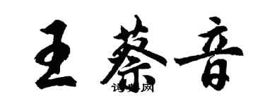 胡問遂王蔡音行書個性簽名怎么寫