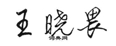 駱恆光王曉畏行書個性簽名怎么寫