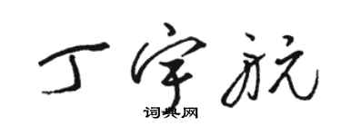 駱恆光丁宇航草書個性簽名怎么寫