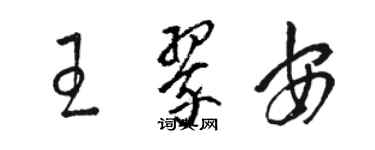 駱恆光王翠安草書個性簽名怎么寫
