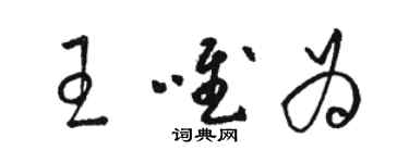 駱恆光王唯為草書個性簽名怎么寫