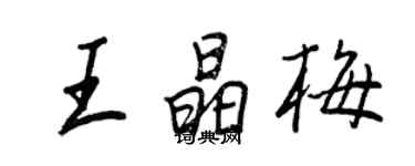 王正良王晶梅行書個性簽名怎么寫
