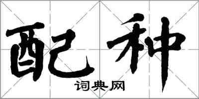 翁闓運配種楷書怎么寫