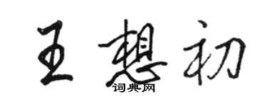 駱恆光王想初行書個性簽名怎么寫