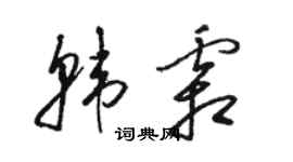 駱恆光韓霜草書個性簽名怎么寫