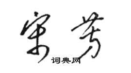 駱恆光宋芳草書個性簽名怎么寫