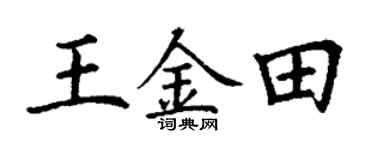 丁謙王金田楷書個性簽名怎么寫