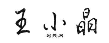 駱恆光王小晶行書個性簽名怎么寫