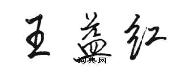 駱恆光王益紅行書個性簽名怎么寫