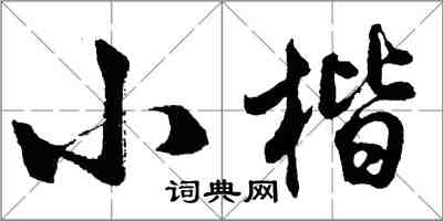 胡問遂小楷行書怎么寫